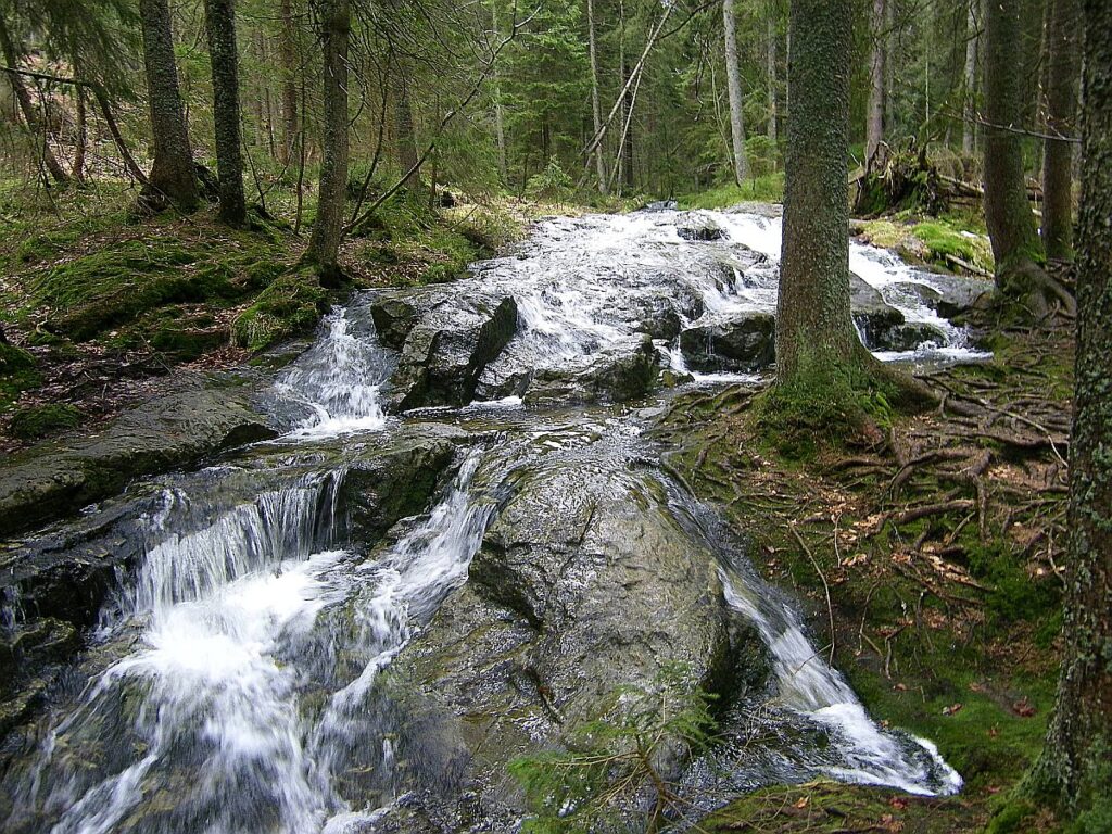 Wildbach am Abersee