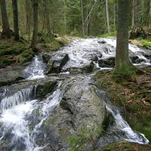 Wildbach am Abersee